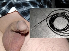 Micro scorpion stinger insertion in a pee hole
