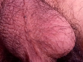 The hairy balls of a cute Asian twink are dancing in this hot gay porn video.